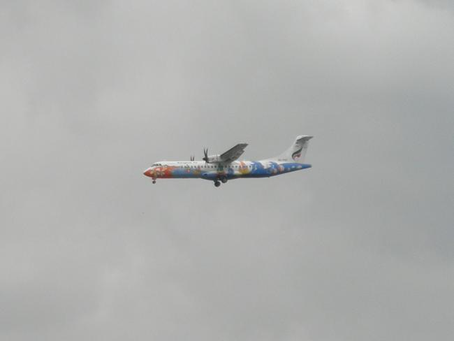 P8100026.JPG